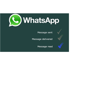 How to block a contact on WhatsApp?